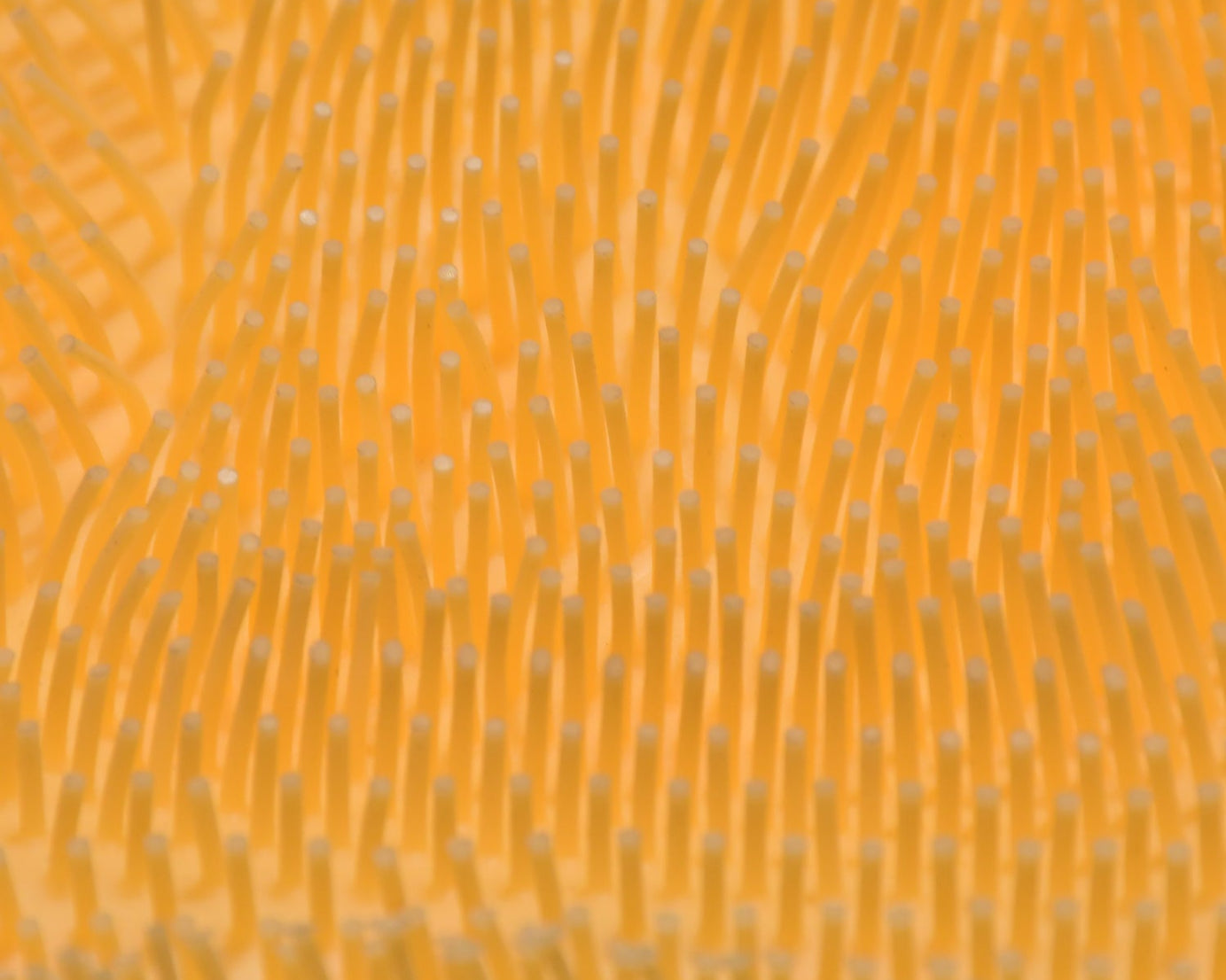 8549 Silicone Bath Massage Cushion with Suction Cup, Shower Foot Scrubber Brush Foot Bath Mat Scrubber, Anti-Slip Exfoliating Dead Skin Massage Pad Lazy Wash Feet Bathroom Mat