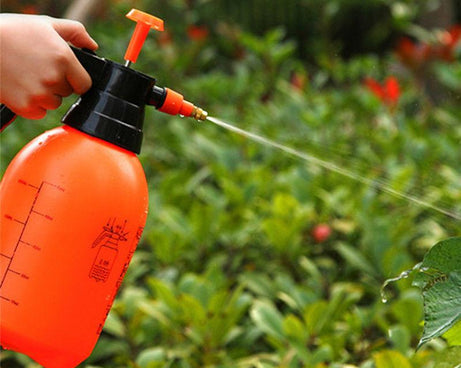 2L hand-held pump sprayer