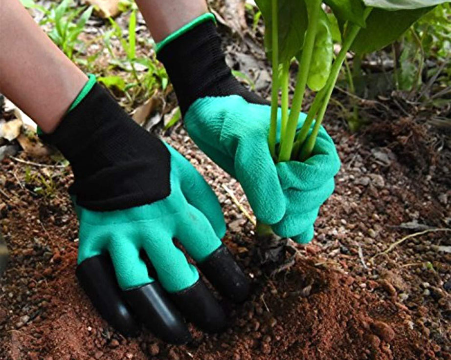 Colourful garden gloves for protection.