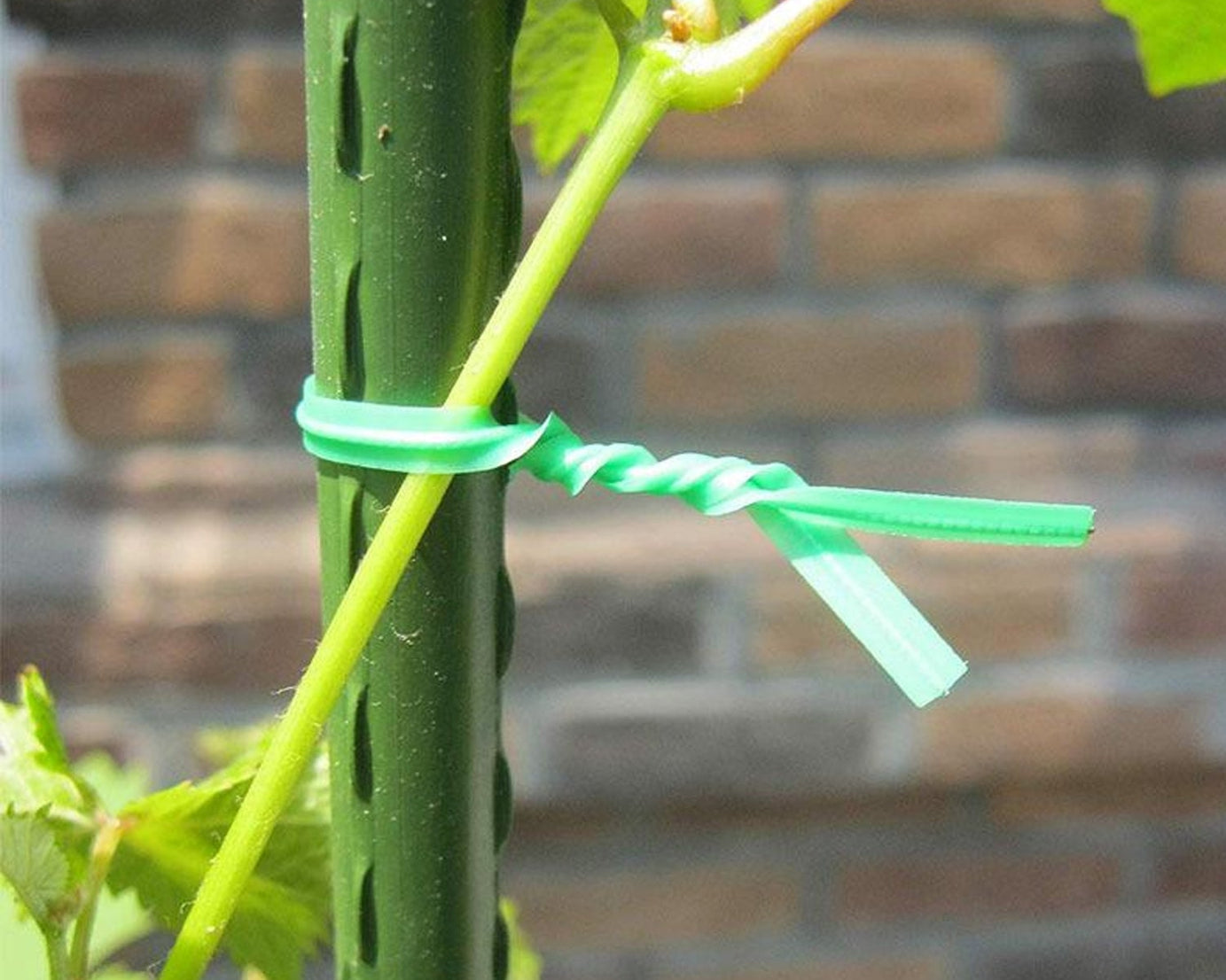 Plastic twist tie wire spool for garden, 50 meters long with integrated cutter.