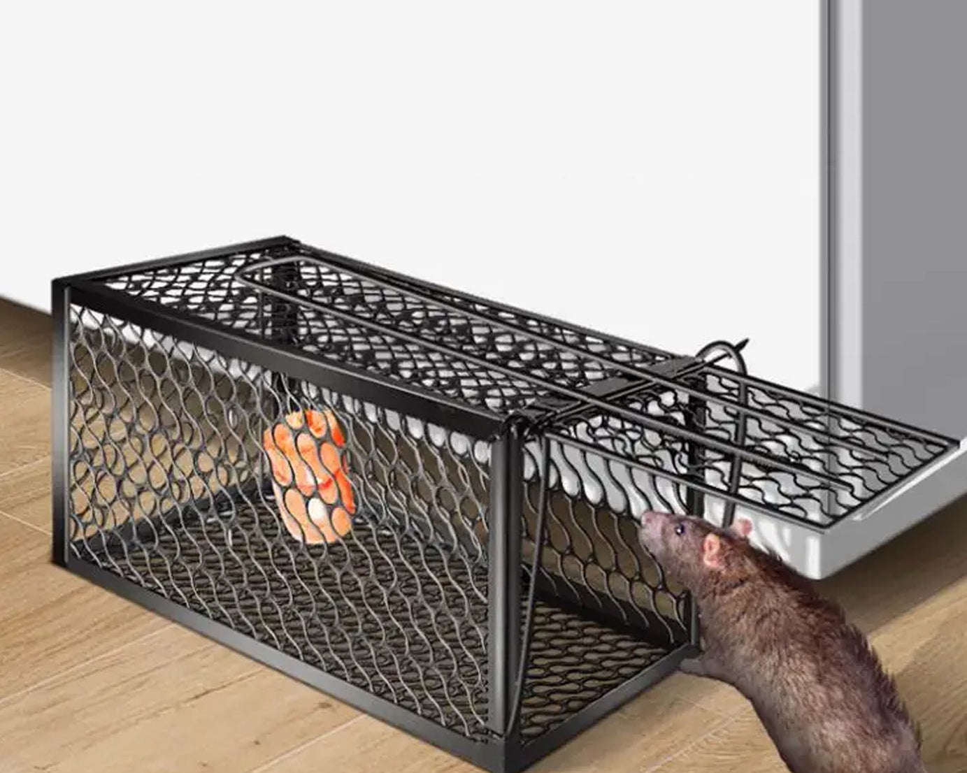Foldable Mouse Trap Squirrel Trap Small Live Animal Trap Mouse Voles Hamsters Live Cage Rat Mouse Cage Trap for Mice Easy to Catch and Release