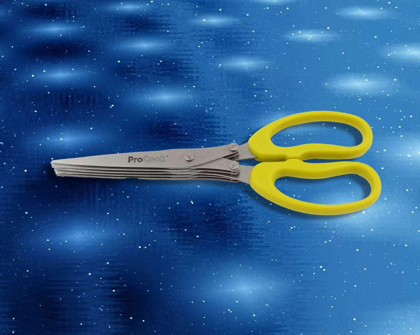 Multifunction Vegetable Stainless Steel Herbs Scissor with 5 Blades (1 Pc)