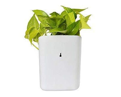 Hanging planter pot, perfect for small spaces.