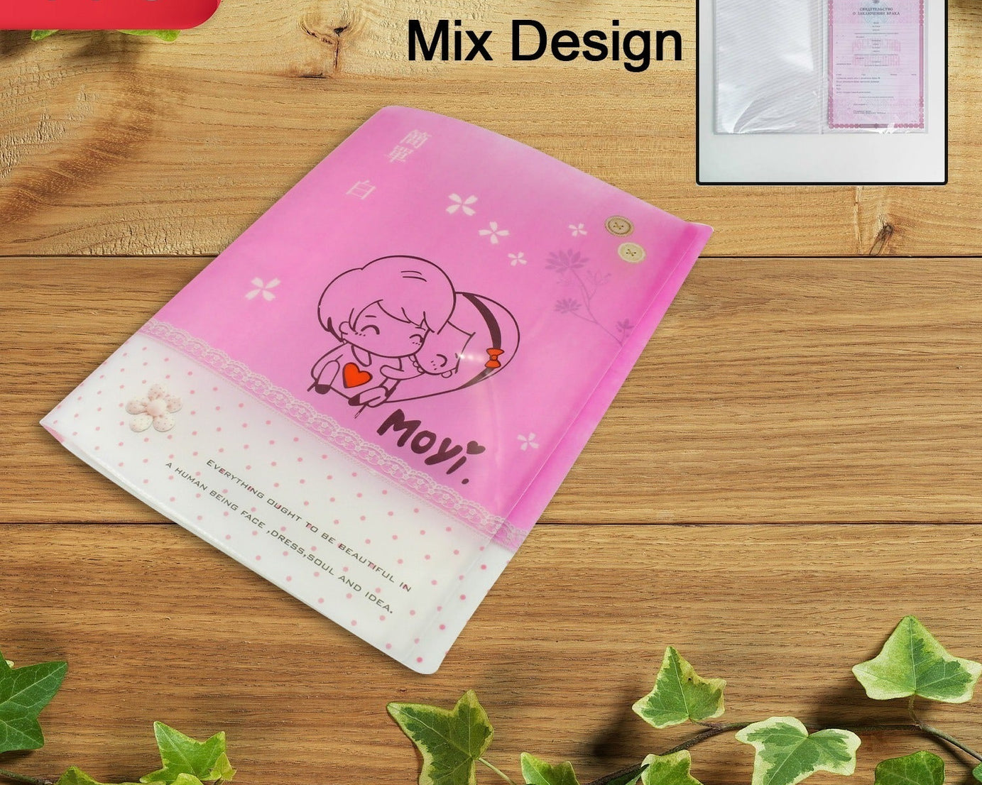 Document Expanding File Folder