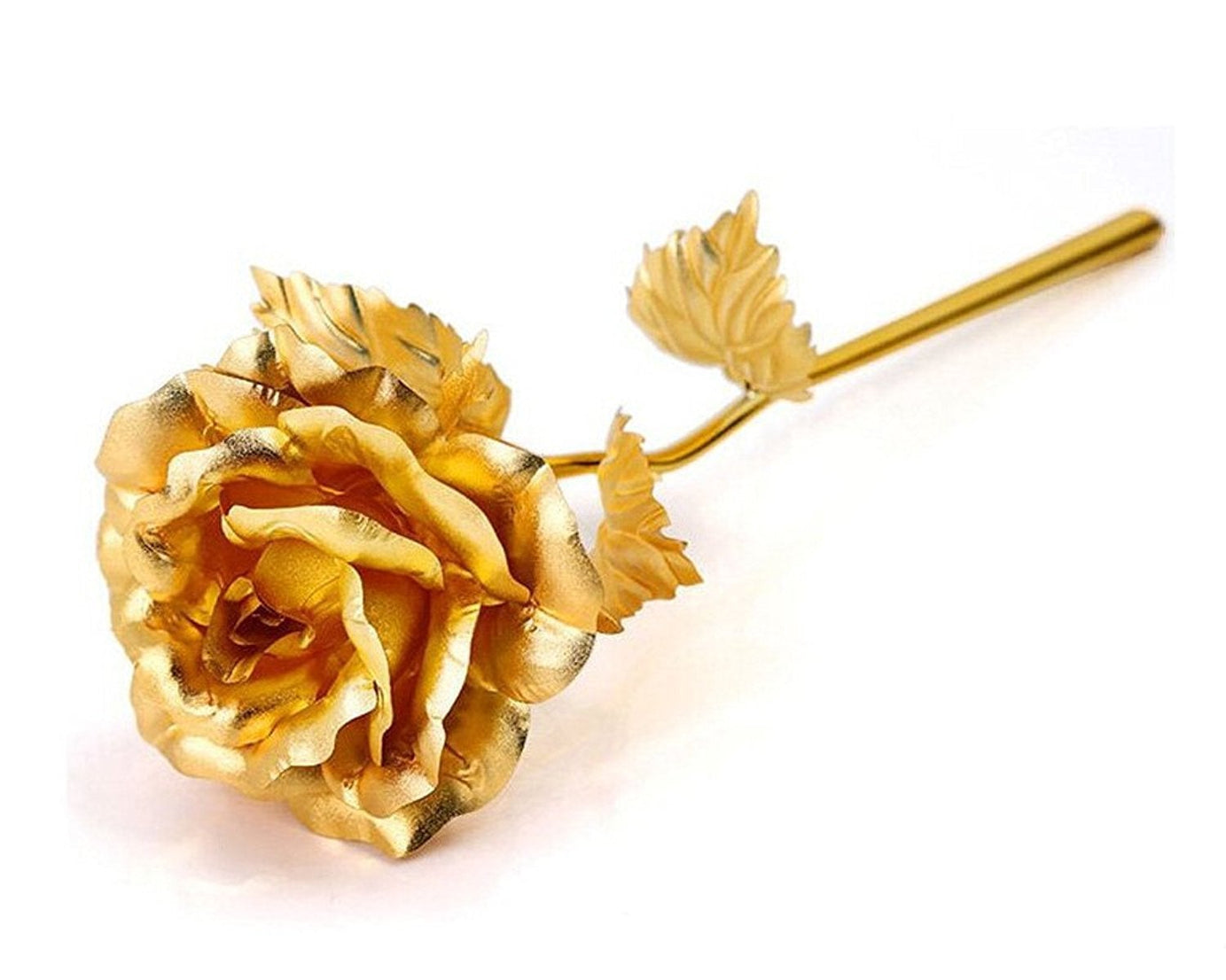 Golden rose for cafes and offices