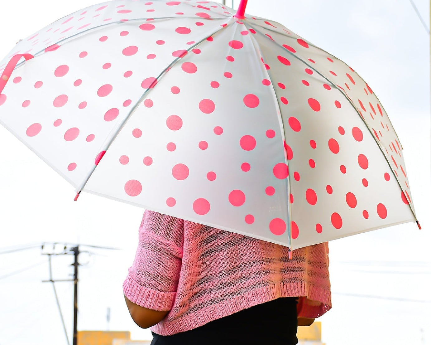 Printed umbrella for men and women