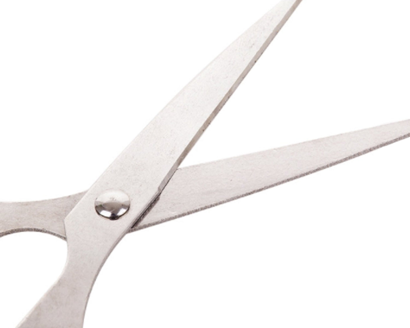 Detailed view of the 160mm scissors, focusing on the stainless steel blades and ergonomic handle