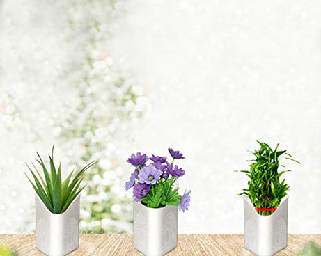 Multicolor vertical planter, easy to hang on walls.