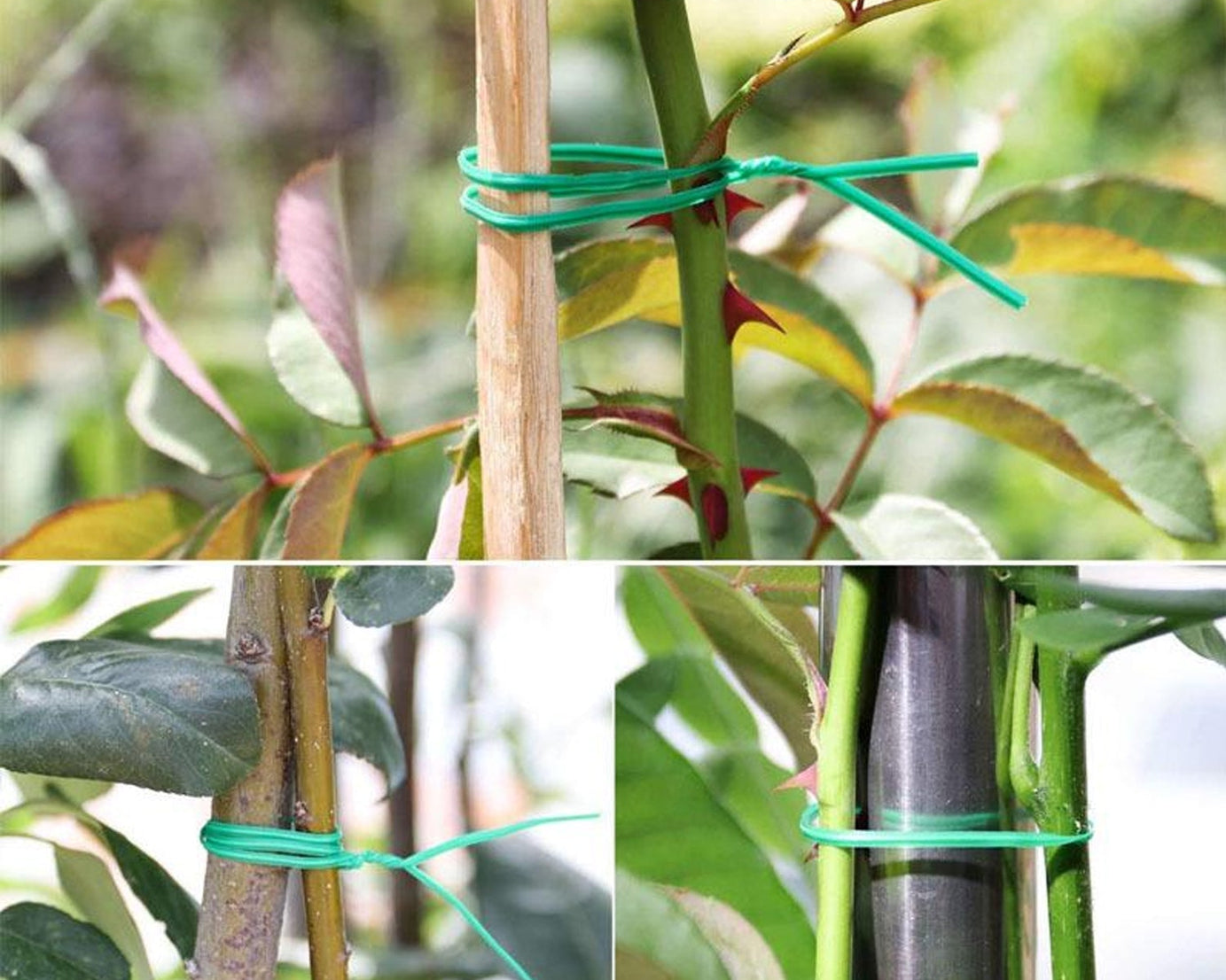 Green plastic twist tie with cutter for garden use, 50 meters.