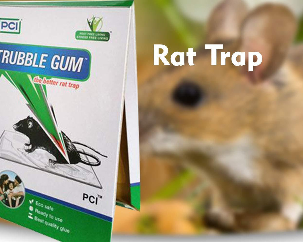 PCI Cardboard Troublegum Small Size Mouse Trap-1pc
