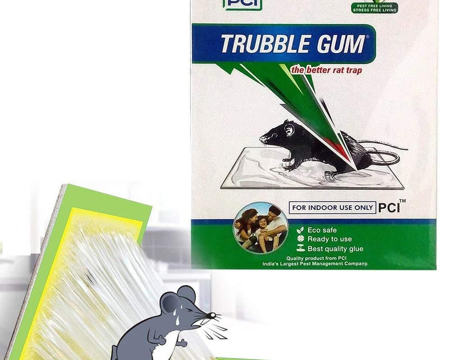 PCI Cardboard Troublegum Small Size Mouse Trap-1pc