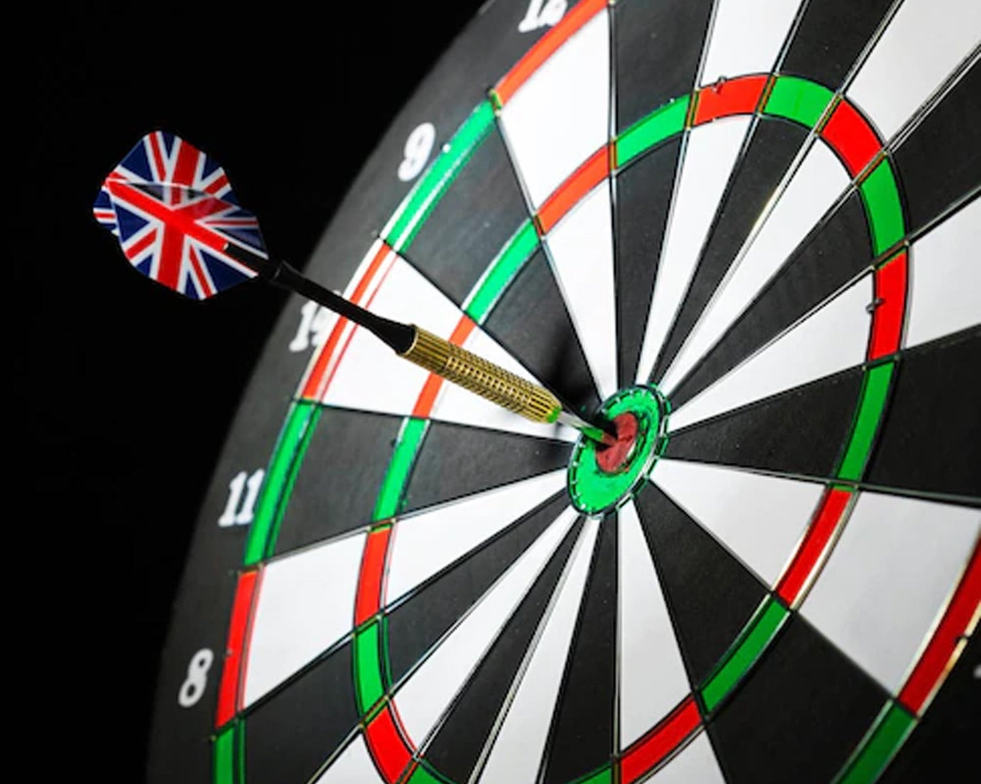 Indoor and outdoor dart set