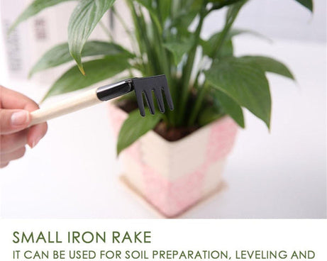 Trowel, shovel, rake for children's gardening