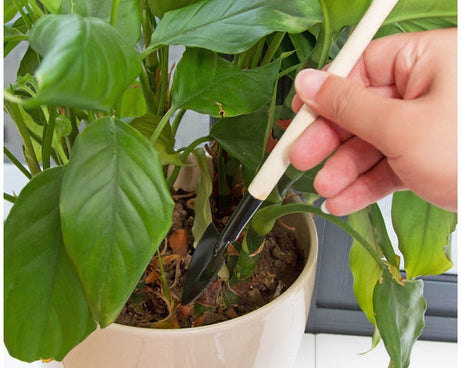 Kid's garden tools including trowel, shovel, and rake