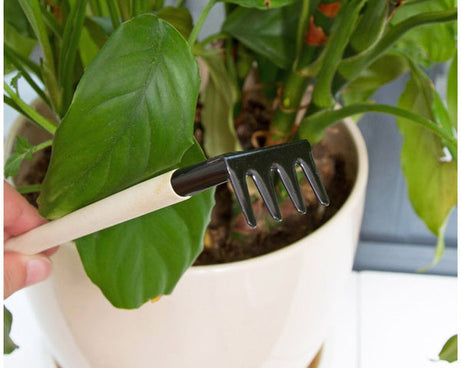 Garden tools set for kids: trowel, shovel, rake