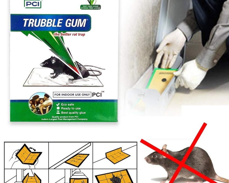 PCI Cardboard Troublegum Small Size Mouse Trap-1pc