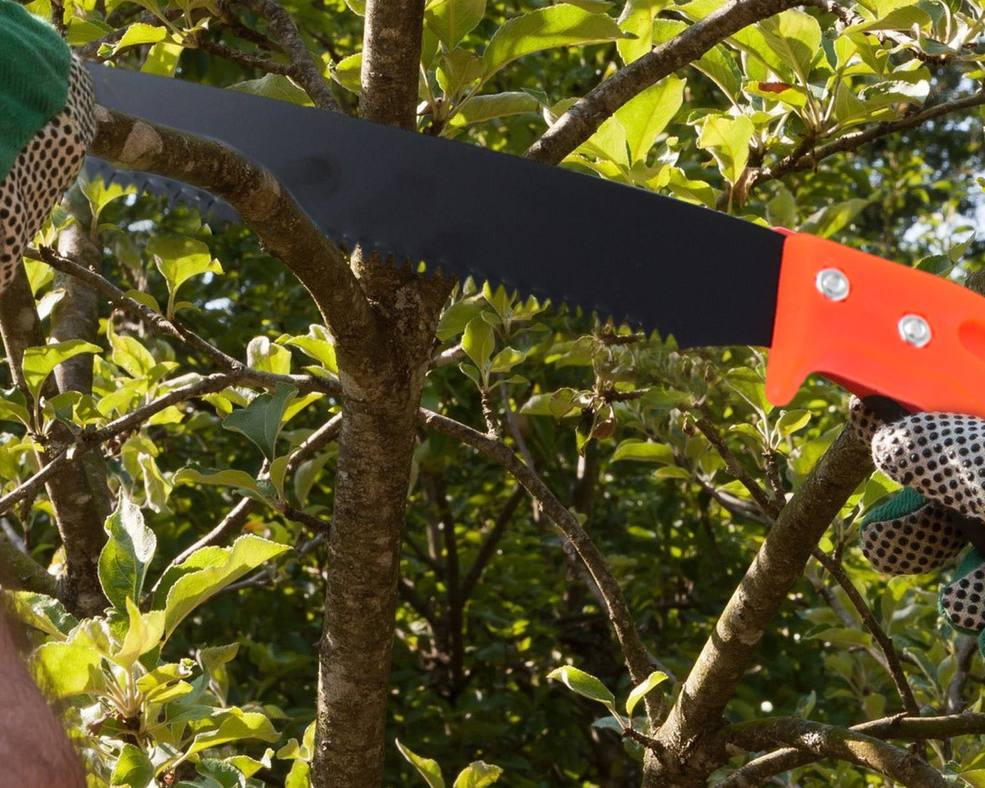 Hand Pruning Saw for Tree Branch Cutter (1 Pc)