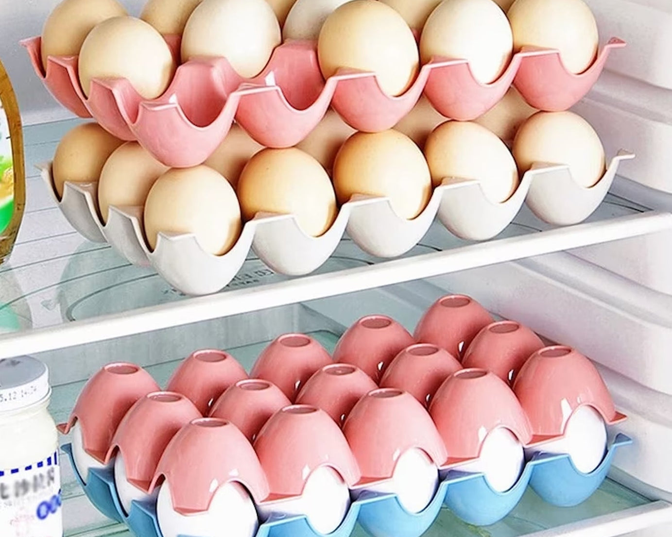 15 egg storage holder
