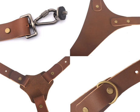 DCA0900B_2.jpg@fe01286480c95555a0334ecb47739940