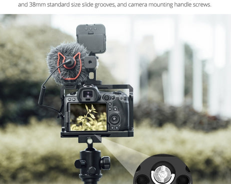 DCA1743B_12.jpg@0d426716b7ba8d77600898858362fd8c