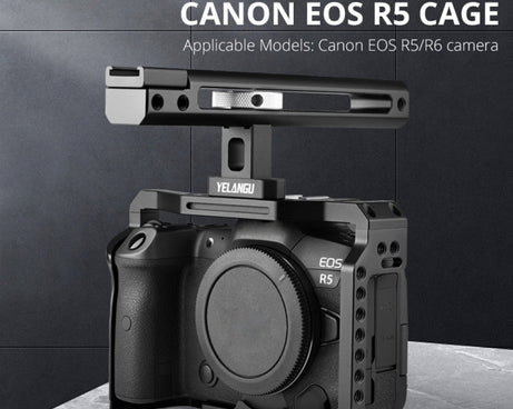 DCA1743B_4.jpg@7ff9c50f6ce67860ecc30d91cf772f2e