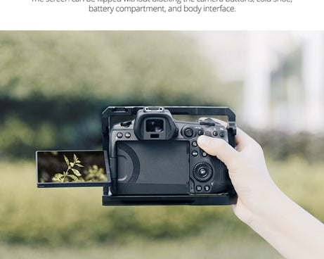 DCA1743B_9.jpg@cd2a43a0f16ea8a5489352b47d3f59a4