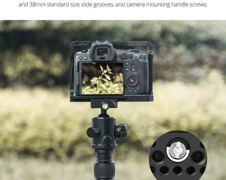 DCA1744B_10.jpg@bf5b855bb53a3ccea00e8c0b773b9bff