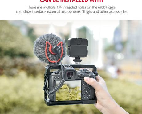 DCA1744B_6.jpg@de742078f6c592f23e1c567012b43643