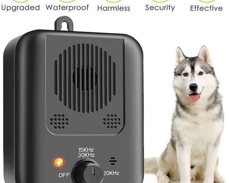 EDA002000801A_2.jpg@a203e60cd21b2d82a3d65f58d71485bd