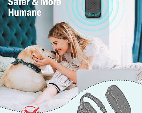 EDA002000801A_5.jpg@8a1c3eb040b9f70d5a650e9f02d030d5