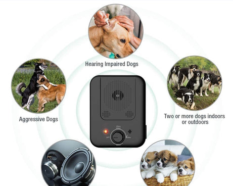 EDA002000801A_8.jpg@3e558d64cef52bcbe934e286ae686635