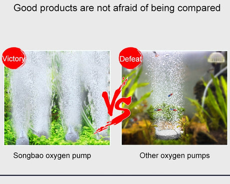 HC0789_5.jpg@ef35b95ebe8040c83b37e90313d1d0cf