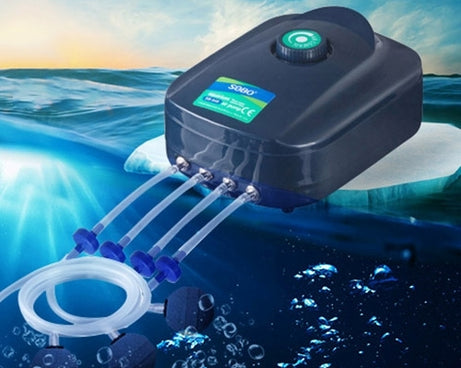 HC0789_8.jpg@52ed9900d191e7bb92e20d90def89de9