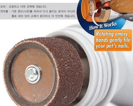 HC3912_3.jpg@f5554622c2a718b86c5a4a0159e9130e