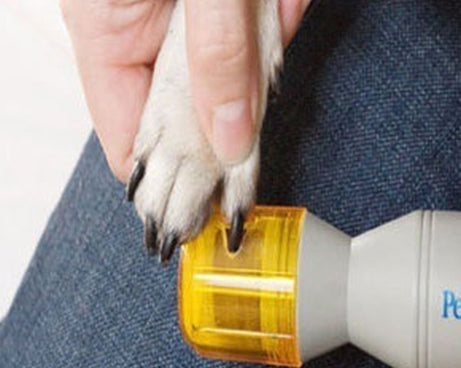 HC3912_4.jpg@6740dea49cfa59ad35aa2630bcf6e258