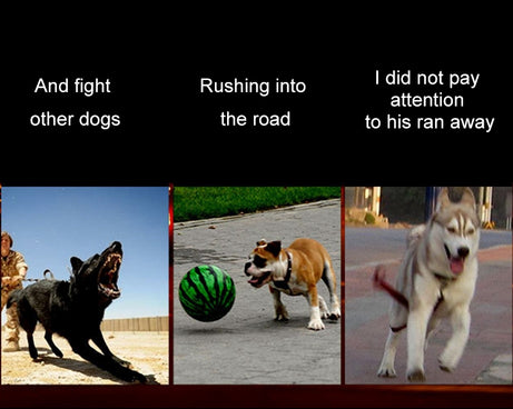 HC4492W_4.jpg@a2b246168a39e0b992abc121273612f5