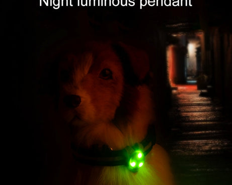 HC4649R_6.jpg@57bcaa702b4ef048a2a6606605ece89f