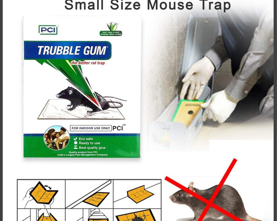 PCI Cardboard Troublegum Small Size Mouse Trap-1pc