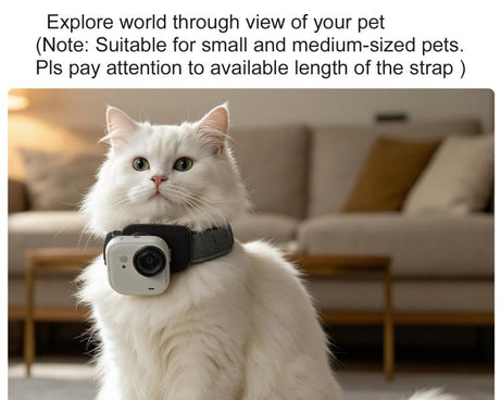 For Insta360 GO Ultra Sunnylife Magnetic Quick-Release Wrist Strap Adjustable Wristband Expansion Band Bicycle Strap Cat Collar, For Insta360 GO Ultra