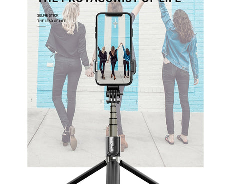 MCP0179B_10.jpg@52190ca66de6fe019e79b0a64e9acd13