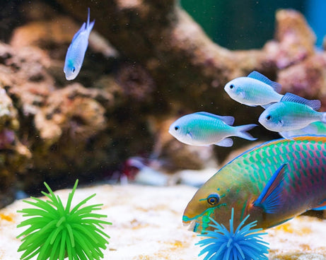 OG3363_B5.jpg@4826a8d02801612aae29a286f659e7ec