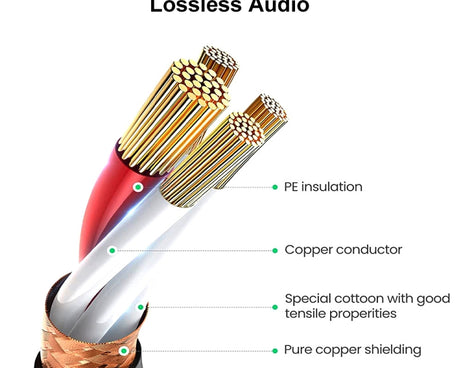 PC8506_3.jpg@fafcf9c5dc211b71974a22d2ab17e216