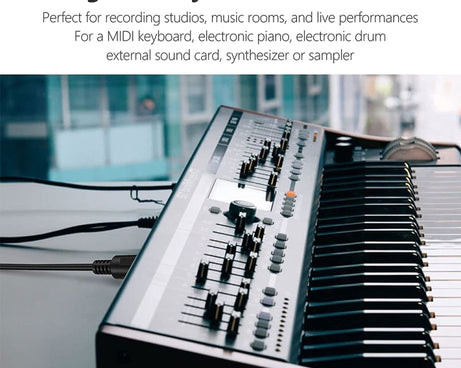 PC8506_5.jpg@3f6e449681f8b9327e7149ed243e1059