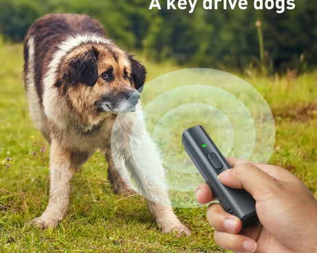 PSP0131_B6.jpg@bbe2ddff586157c54b4be1c158b5c199