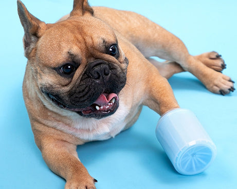 PSP4714G_5.jpg@3cabc7566b960fe2f50f62e512495022