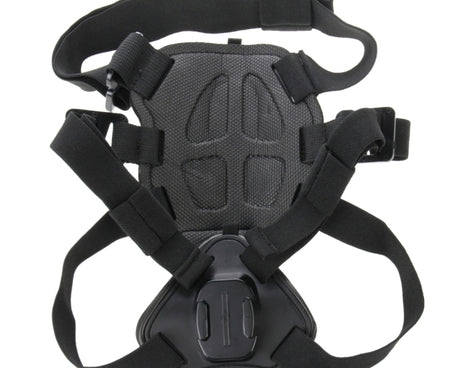 PU156_2.jpg@2f50664576384212e22dd63089039b23