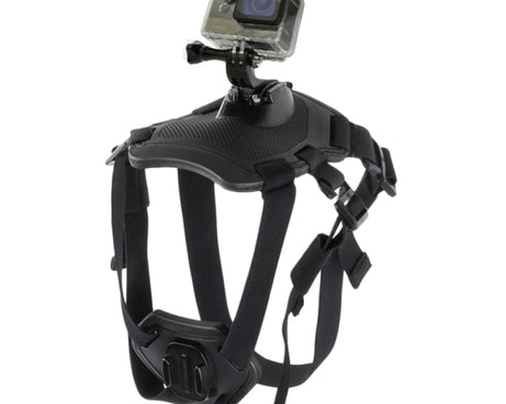 PU156_3.jpg@1e798e1193a7c98a6db5a6b1608e7865