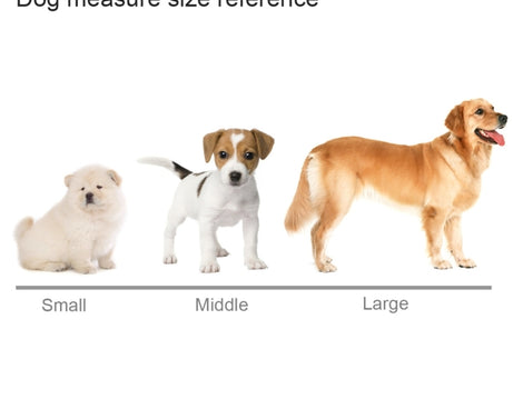 PU156_5.jpg@dc7cfe6052b40686a652c2bb9f377c6d