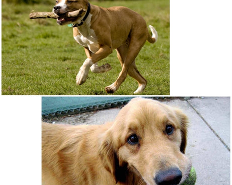 PU156_6.jpg@7119d4427fb4389bebbcfd1953868b92