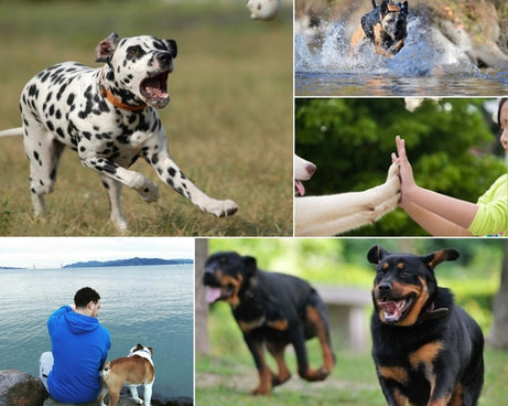 PU156_7.jpg@a2135929ec5f48db32d668b95655f840